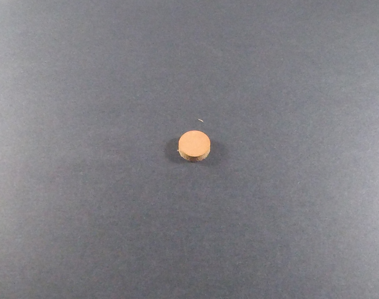 10-13182 Plug, Leather