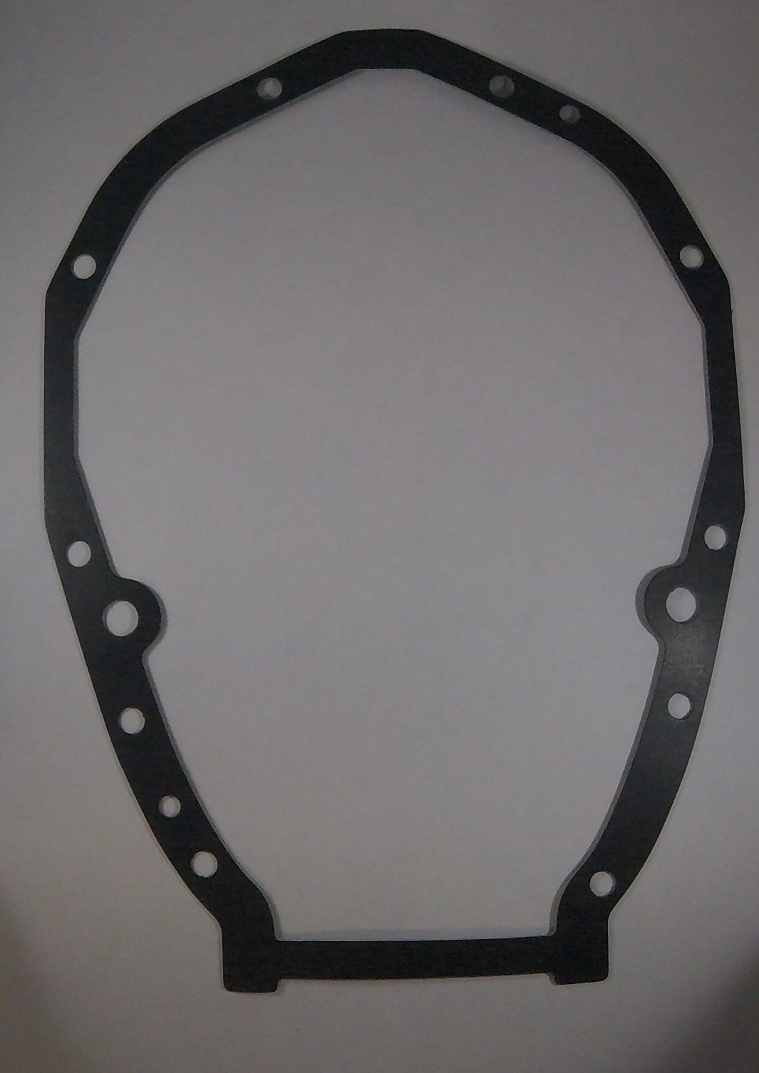 4577 Gasket, Accessory Case