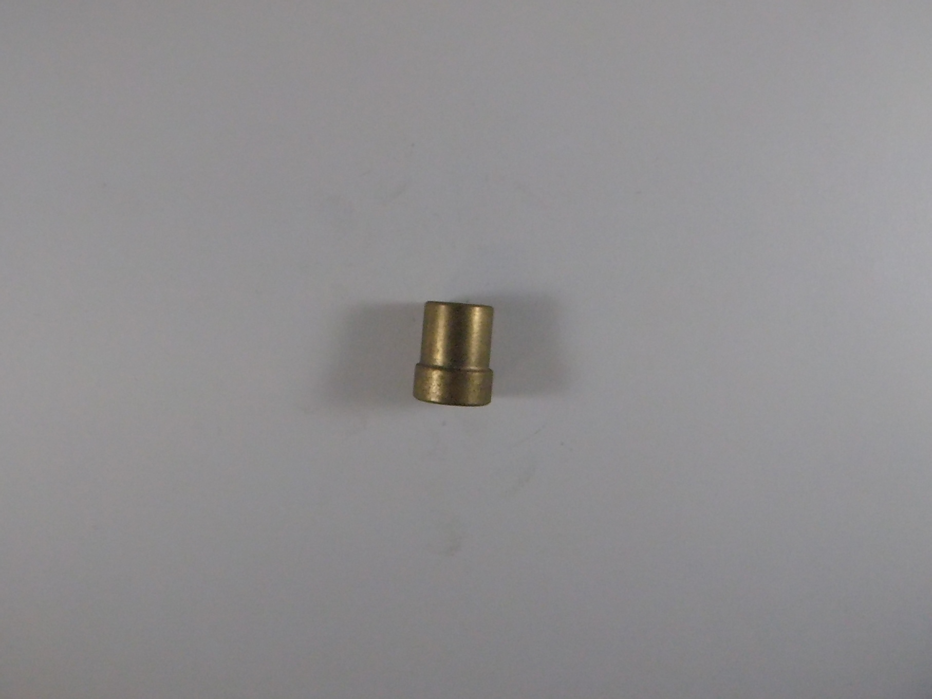 P16169 Bushing, Throttle Shaft