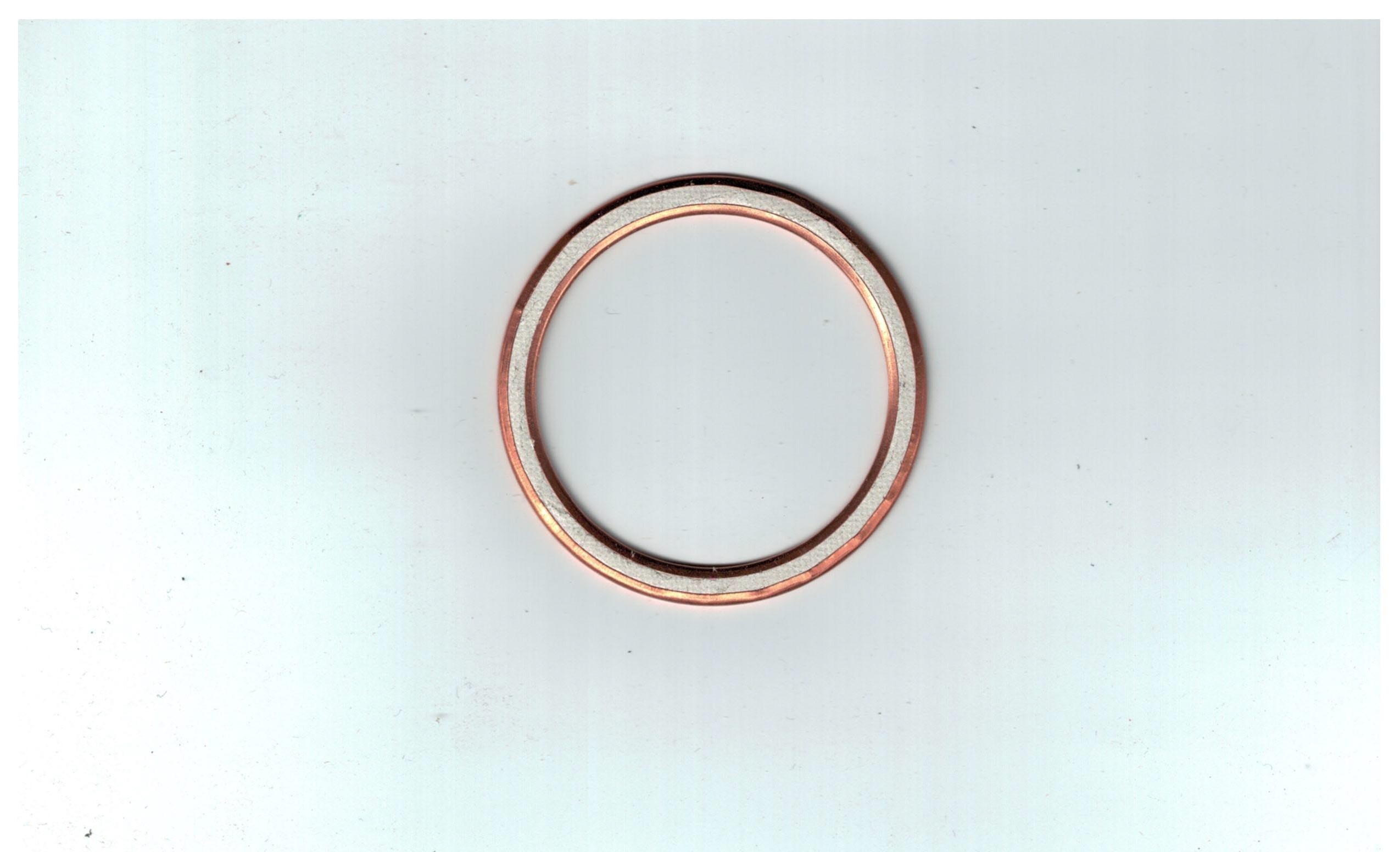 1041 Gasket, Oil Screen