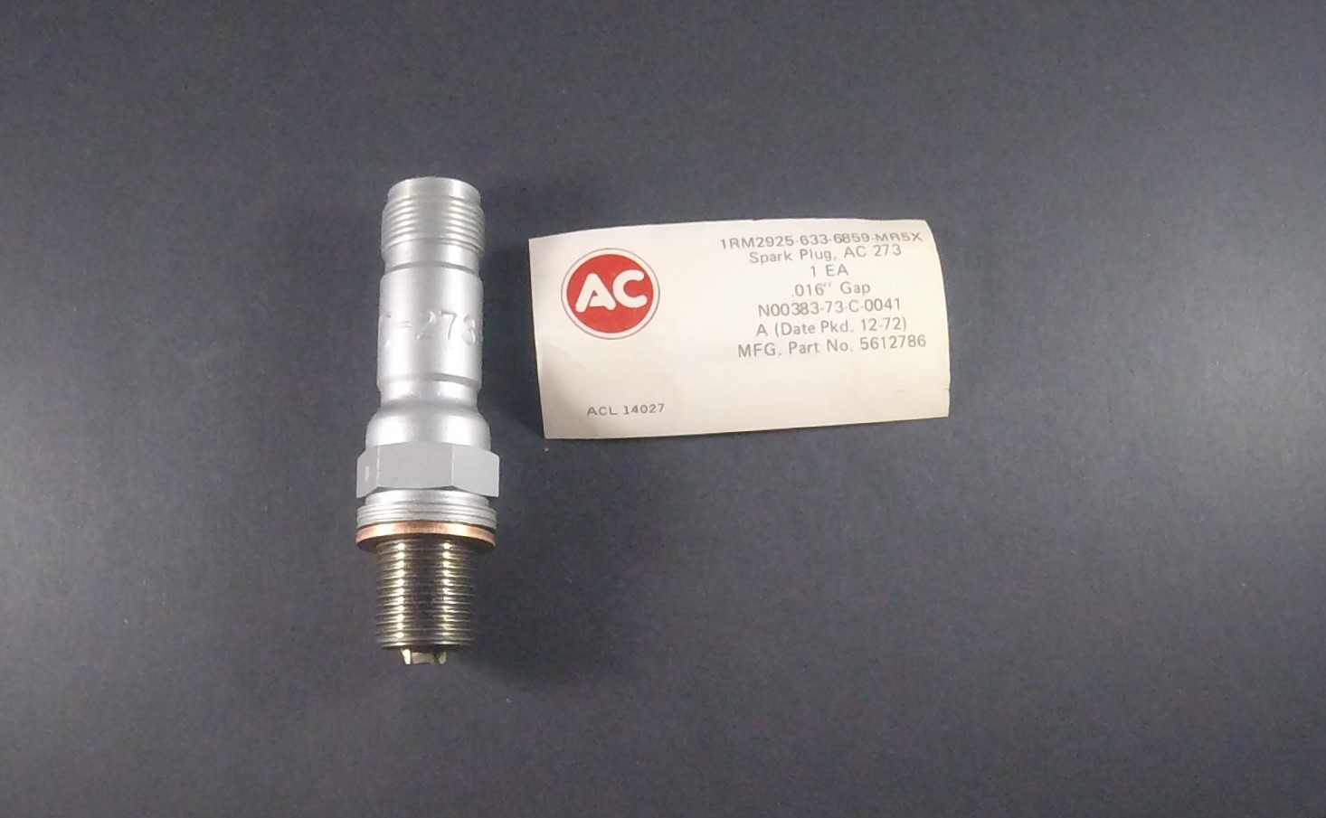 AC273 Spark Plug