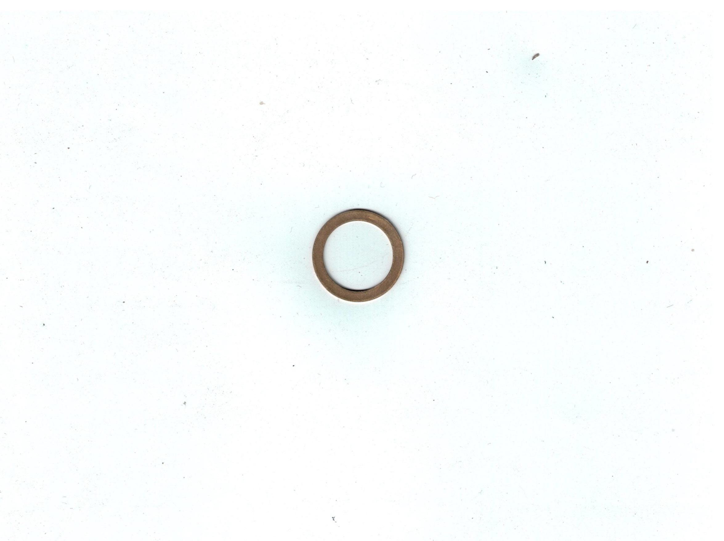 174-S-22 Gasket, Fuel Strainer
