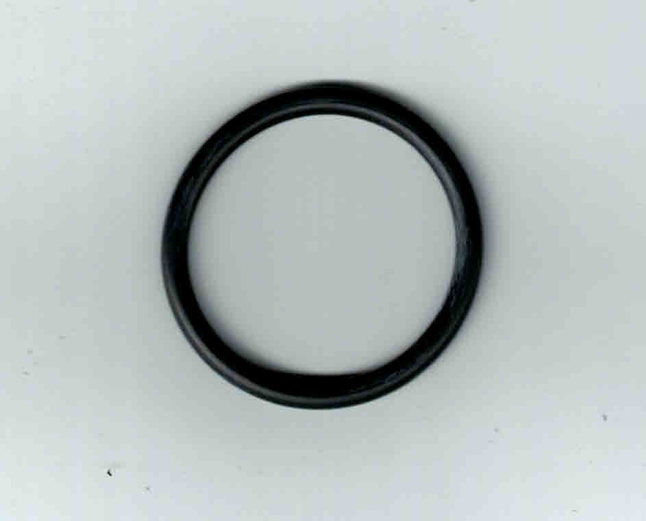 AN123879 O-Ring