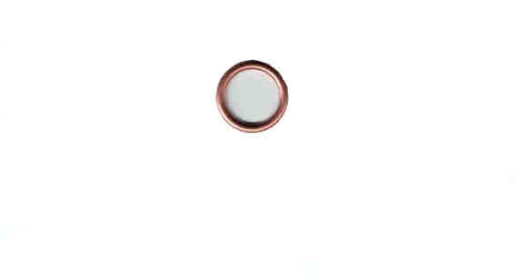 AN900-9 Gasket, Copper Crush (MS35769-10)